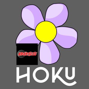 SH Combo - BOSS (2D) and Hoku (2D)